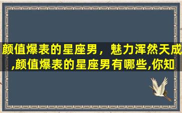 颜值爆表的星座男，魅力浑然天成,颜值爆表的星座男有哪些,你知道吗