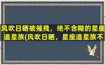 风吹日晒被摧残，绝不含糊的星座追星族(风吹日晒，星座追星族不含糊，他们的故事让你大开眼界！)