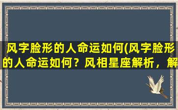 风字脸形的人命运如何(风字脸形的人命运如何？风相星座解析，解密你的人生轨迹！)