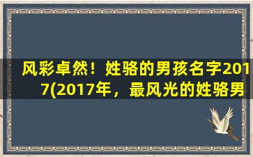 风彩卓然！姓骆的男孩名字2017(2017年，最风光的姓骆男孩名字，你一定得知道！)