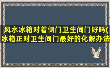 风水冰箱对着侧门卫生间门好吗(冰箱正对卫生间门最好的化解办法)