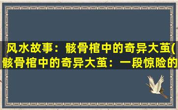 风水故事：骸骨棺中的奇异大茧(骸骨棺中的奇异大茧：一段惊险的风水传说)