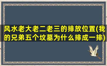 风水老大老二老三的排放位置(我的兄弟五个坟墓为什么排成一排)