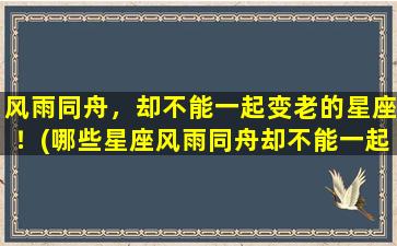 风雨同舟，却不能一起变老的星座！(哪些星座风雨同舟却不能一起变老？)