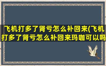 飞机打多了肾亏怎么补回来(飞机打多了肾亏怎么补回来玛咖可以吗)