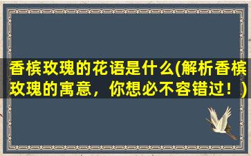 香槟玫瑰的花语是什么(解析香槟玫瑰的寓意，你想必不容错过！)