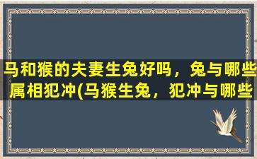 马和猴的夫妻生兔好吗，兔与哪些属相犯冲(马猴生兔，犯冲与哪些属相？)