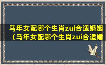 马年女配哪个生肖zui合适婚姻（马年女配哪个生肖zui合适婚姻呢）