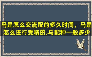 马是怎么交流配的多久时间，马是怎么进行受精的,马配种一般多少时间