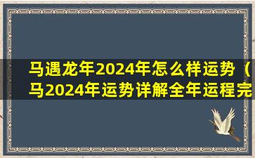 马遇龙年2024年怎么样运势（马2024年运势详解全年运程完整版）