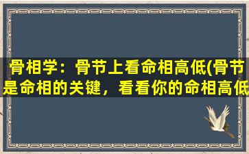 骨相学：骨节上看命相高低(骨节是命相的关键，看看你的命相高低如何。)