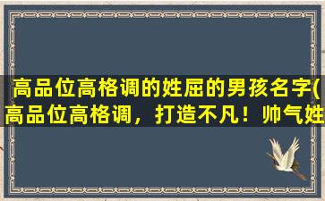 高品位高格调的姓屈的男孩名字(高品位高格调，打造不凡！帅气姓屈男孩名字大全推荐)