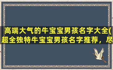 高端大气的牛宝宝男孩名字大全(超全独特牛宝宝男孩名字推荐，尽在这里！)