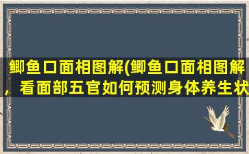 鲫鱼口面相图解(鲫鱼口面相图解，看面部五官如何预测身体养生状况！)