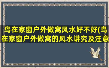 鸟在家窗户外做窝风水好不好(鸟在家窗户外做窝的风水讲究及注意事项)