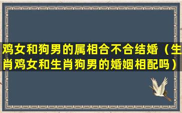 鸡女和狗男的属相合不合结婚（生肖鸡女和生肖狗男的婚姻相配吗）