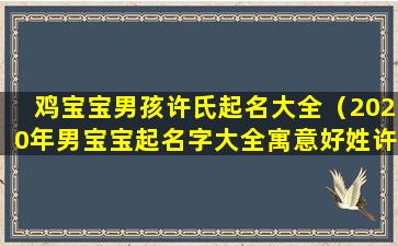 鸡宝宝男孩许氏起名大全（2020年男宝宝起名字大全寓意好姓许）