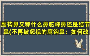 鹰钩鼻又称什么鼻驼峰鼻还是结节鼻(不再被忽视的鹰钩鼻：如何改善鼻驼峰鼻和结节鼻？)