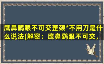 鹰鼻鹞眼不可交歪颈*不用刀是什么说法(解密：鹰鼻鹞眼不可交，歪颈*不用刀)