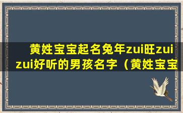 黄姓宝宝起名兔年zui旺zuizui好听的男孩名字（黄姓宝宝起名兔年zui旺zuizui好听的男孩名字是什么）