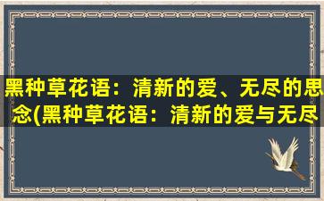 黑种草花语：清新的爱、无尽的思念(黑种草花语：清新的爱与无尽的思念，如何表达？)