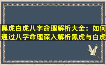 黑虎白虎八字命理解析大全：如何通过八字命理深入解析黑虎与白虎的命运特征