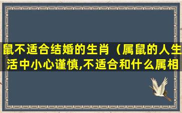 鼠不适合结婚的生肖（属鼠的人生活中小心谨慎,不适合和什么属相的人结婚）