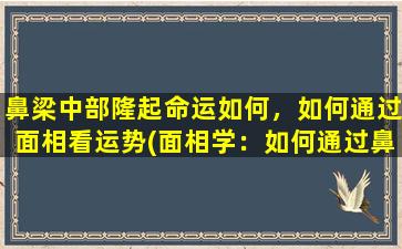 鼻梁中部隆起命运如何，如何通过面相看运势(面相学：如何通过鼻梁中部的隆起看命运)