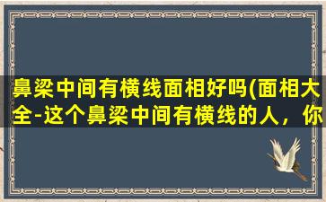 鼻梁中间有横线面相好吗(面相大全-这个鼻梁中间有横线的人，你知道他的性格特征吗？)