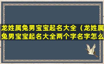 龙姓属兔男宝宝起名大全（龙姓属兔男宝宝起名大全两个字名字怎么起）