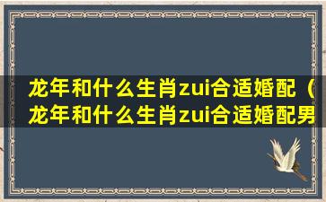 龙年和什么生肖zui合适婚配（龙年和什么生肖zui合适婚配男）