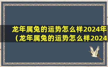 龙年属兔的运势怎么样2024年（龙年属兔的运势怎么样2024年放桃木剑）