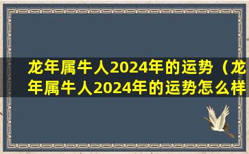 龙年属牛人2024年的运势（龙年属牛人2024年的运势怎么样）