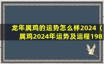 龙年属鸡的运势怎么样2024（属鸡2024年运势及运程1981年出生）