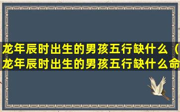 龙年辰时出生的男孩五行缺什么（龙年辰时出生的男孩五行缺什么命格）