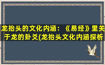 龙抬头的文化内涵：《易经》里关于龙的卦爻(龙抬头文化内涵探析，传承千年的龙图腾意*读)