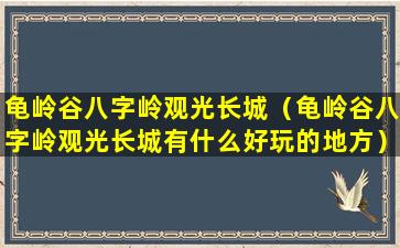 龟岭谷八字岭观光长城（龟岭谷八字岭观光长城有什么好玩的地方）