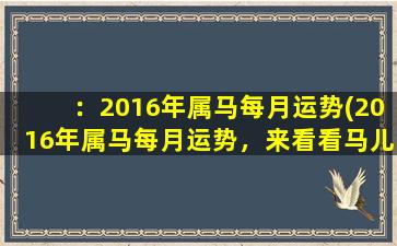 ：2016年属马每月运势(2016年属马每月运势，来看看马儿们的运势如何！)